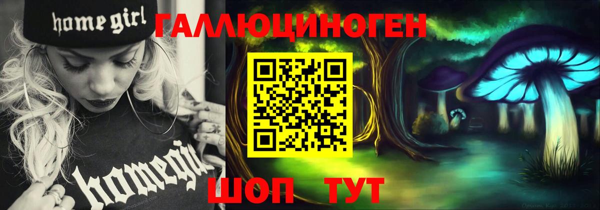 Галлюциногенные грибы Psilocybine cubensis  Вход с VPN  Мичуринск 